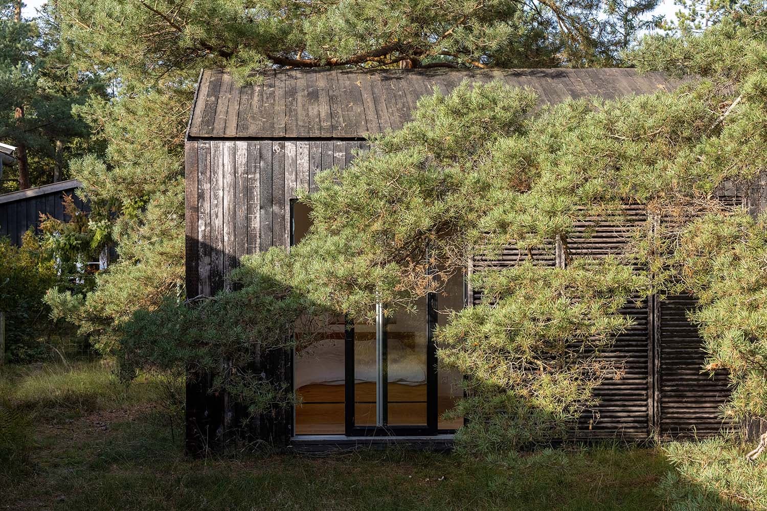 Billede af anneks bag fyrretræer