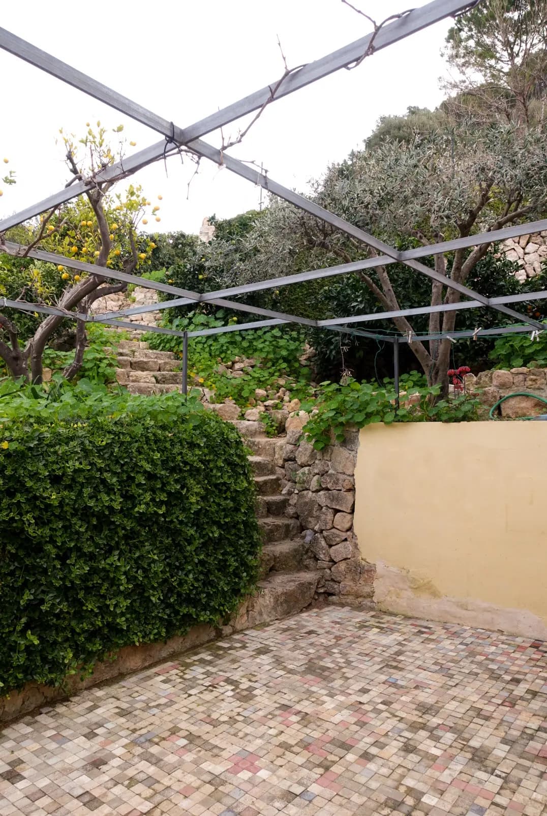 Billede af hele terrassen